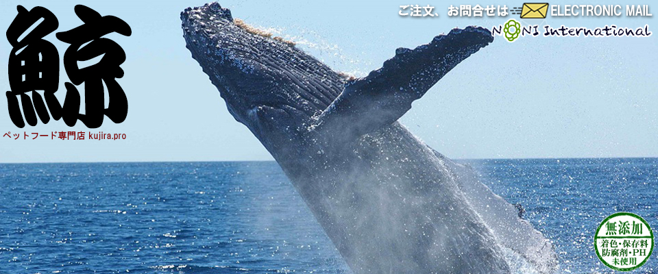 �y�b�g�t�[�h���X �~�v��